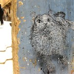 C215 - #StreetArt - Infobae Blogs - 16