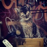 C215 - #StreetArt - Infobae Blogs - 23