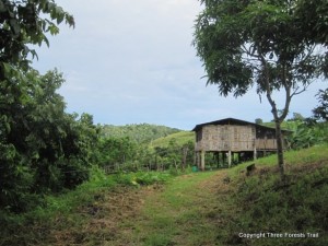 Paisaje de la Finca y la casa de nuestros anfitriones. Crédito: Finca Mono Verde