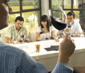 25 cosas imperdibles que debe hacer un winelover